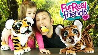 On adopte Tyler un adorable petit tigre rugissant et joueur  Peluche interactive Hasbro FurReal [upl. by Pam646]