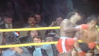 Rocky IIRocky Balboa Vs Apollo Creed Part 4 Audio English [upl. by Sirraj]