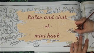 Color and chat et mini haul [upl. by Noiramaj]