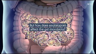 How gut microbes affect efficacy of antidepressant escitalopram [upl. by Eniamert]