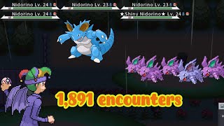 Shiny Nidorino  1891 encounters [upl. by Gerdeen]