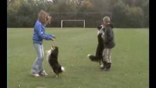 dogs amp kids dancing [upl. by Iretak366]