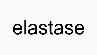 How to pronounce elastase [upl. by Hewett]