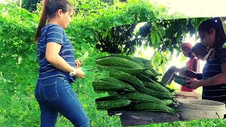 Picking Bitter Gourd And Green Papaya  Cooking Chicken Soup Recipe [upl. by Aciretal]