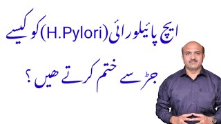 How To Eradicate Helicobacter Pylori From Your Stomach  Maiday kay jaraseem ka khatma  Dr Afzal [upl. by Llehsyar]