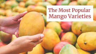 Most Popular Mango Varieties from 2022 [upl. by Ekusuy]