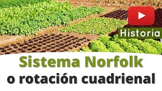 ⭐El Sistema Norfolk o rotación cuadrienal 📘 aulamedia [upl. by Helbonna]