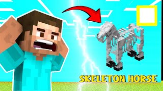 I found a skeleton horse in my survival world 😱 [upl. by Gareri]