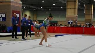 Olivia Mile2023 Starstruck invitational competition January 13142018 [upl. by Lotsyrc]