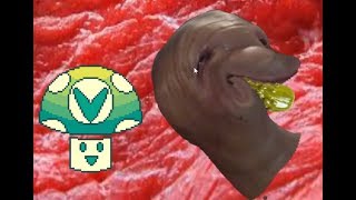 VSC Vinesauce Vinny Feeds Meat the Gherkin in OE Cake [upl. by Aneelad]