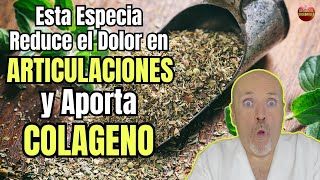 😱 ESTA ESPECIA REDUCE EL DOLOR EN LAS ARTICULACIONES Y APORTA COLAGENO 😱 [upl. by Rosio]