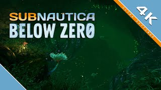 Subnautica Below Zero quotLilypads Crevicequot  4K [upl. by Lorry]