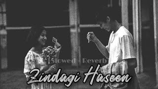 Zindagi Haseen  by Pav Dharia SLOWED  REVERB [upl. by Nnylrebma557]