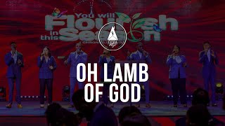 Oh Lamb Of God  Reverential Worship Session at COZATuesdays  13062023 [upl. by Bish358]