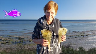 How to catch Razorfish Australia  Streaky Bay [upl. by Yelkao]