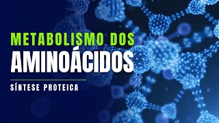 Metabolismo proteico  a síntese de proteínas é essencial para o funcionamento do organismo [upl. by Atteuqcaj387]