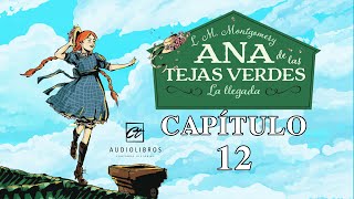 ANA DE LAS TEJAS VERDES  CAPITULO 12 AUDIOLIBRO  LM MONTGOMERY  NARRADOR CARLOS TORRES FAYAD [upl. by Marlow]