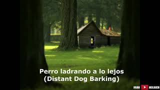 Perro ladrando a lo lejos [upl. by Acissaj]