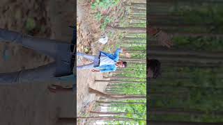 Dekha Hobe Sorger Upor 💔💫trending viralvideo explore dance purulia kundankumar youtubeshorts [upl. by Elimay]