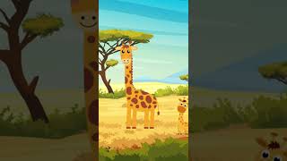 The Giraffe Song animalsongsfortoddlers songsfortoddlers cute [upl. by Madigan368]