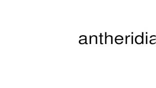 How to pronounce antheridia [upl. by Hofmann]