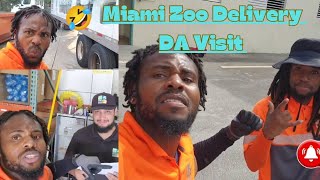 MIAMI ZOO DELIVERY quotDA VISIT quot 💪🏽💪🏽 [upl. by Sdlonyer]