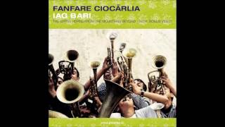 Fanfare Ciocarlia  Hora Andalusia Official Audio [upl. by Kinch]