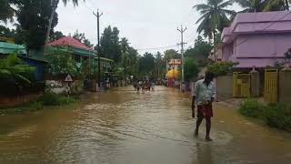 Flood in Kanyakumari District  Chennithottam Thamiraparani River [upl. by Saree]