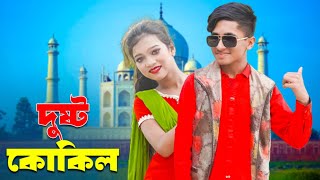 Dushtu Kokil দুষ্টু কোকিল  dihan  pori  rayna  comedy natok [upl. by Ajin423]