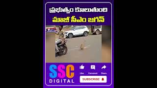 YS Jaganmohan Reddy Sensational Comments TDP Party  Shorts Sscdigital Balannamuchatlu [upl. by Mellette]