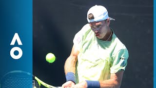 Fernando Verdasco v Maximilian Marterer match highlights 2R  Australian Open 2018 [upl. by Alocin]