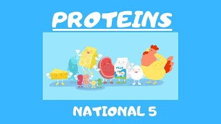 National 5GCSE Proteins [upl. by Ahsemrac]