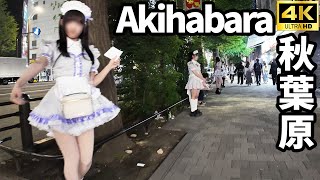 【4K60】Akihabara Maid Heaven Cute Maids Galore 秋葉原はメイド天国！？ [upl. by Adnahcal890]