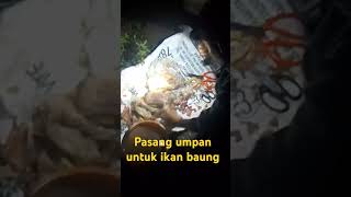 Masang umpan ikan baung ikanbaungbabon fishing mancing mancingbaungbabon fypシ゚viral [upl. by Bakerman120]