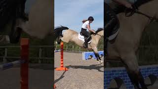 Tiny pony  massive jump Bear’s best bits video out tonight shorts [upl. by Mckinney]