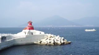 Haegeumgang Island amp Oedo amp Sashimi Geojedo Attractions [upl. by Yeloc]