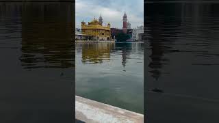 Dhan Shri Guru Ramdas Sahib Ji darbarsahib hukamnamasahib gold trending [upl. by Lewellen]