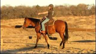 ItsaSkippityDoDaDay  DoDa  being used for a beginner riding lesson  Valley View Ranch [upl. by Teerell29]