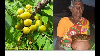 நெல்லிக்காய் ஊறுகாய் IN VILLAGE  Amla pickle GOOSEBERRY PICKLE IN VILLAGE Eng Sub Ep 37 [upl. by Merrie742]