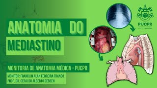 Mediastino  Monitoria de Anatomia Médica PUCPR [upl. by Elakram893]