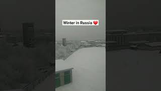 Winter In Russia 🇷🇺 arkhangelsk russianculture nsmu ❤ [upl. by Nosidda]