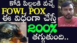 నా కోడి పిల్లలకి తగ్గిందిFowl Pox Treatment In TeluguKodi PillaluNatu amp Jathi Kolla Pempakam [upl. by Skardol]