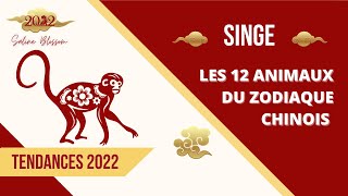 Astrologie chinoise BaZi  année du Tigre 2022  signe du Singe 🐒 [upl. by Beatrice508]