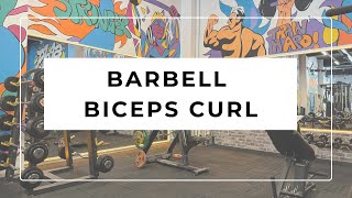 BARBELL BICEPS CURL [upl. by Ttegdirb]