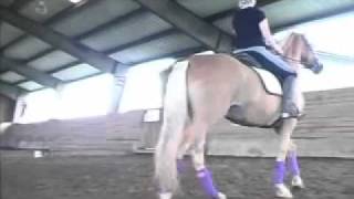 Beginner Dressage Rider Learns About Using the Hips to Turn the Horse [upl. by Evelin]