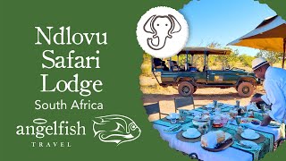 Ndlovu Safari Lodge Affordable Luxury in Big 5 Territory  South Africa Safari [upl. by Attelrahc]