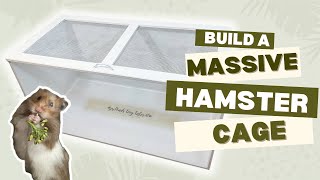 DIY Hamster Cage Build  Custom Hamster Habitat [upl. by Allisan532]