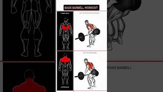 🤔How to do train back with barbell workout shortsviral youtubeshorts [upl. by Ecidnac]