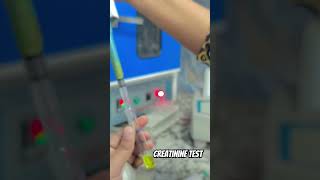 Serum creatinine test kidney function test dmlt labtechnologist medico labtechnician prayagraj [upl. by Bertelli]