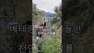 유기농 천연살균제 최저가 공구💛베테랑 가드너들의 치트키 [upl. by Llenrag]